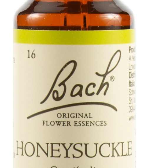 HONEYSUCKLE BACH ORIG 20ML