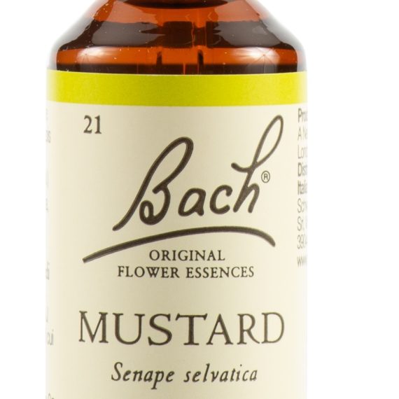 MUSTARD BACH ORIG 20ML