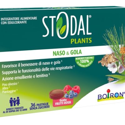 STODAL PLANTS FRUTTI RO 36PAST