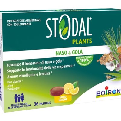 STODAL PLANTS LIMONE 36PAST